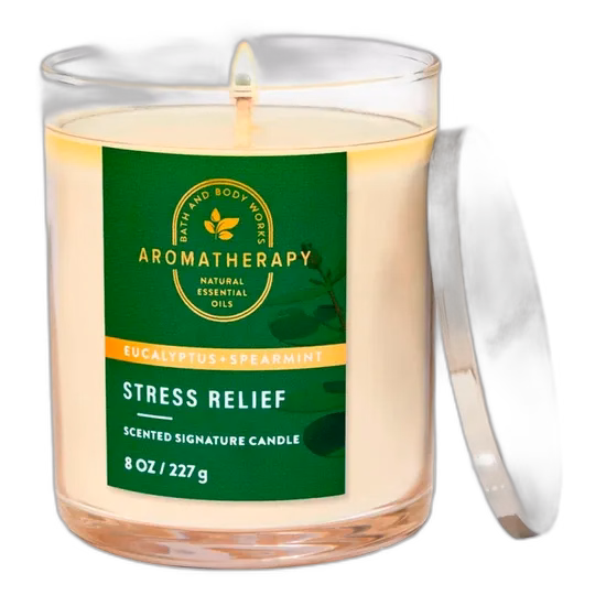 Vela Aromática Bath & Body Works Eucalyptus Mint 227G