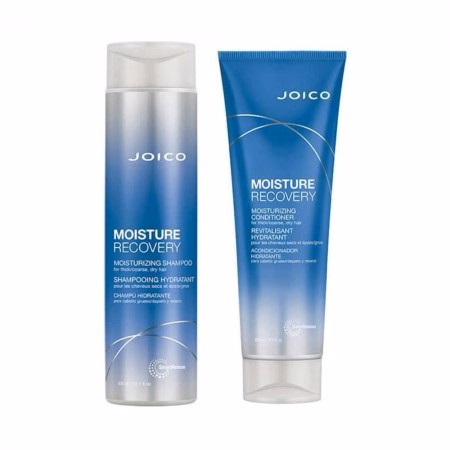 Condicionador Joico Daily Care Revitalisant Equilibrant Cabelos...