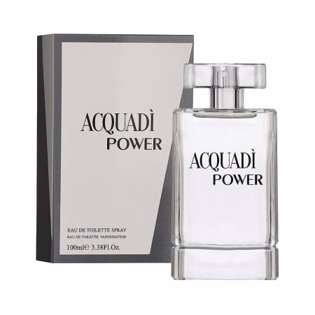 Perfume Acquadí Power EDT Masculino 100ml